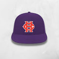 2026 ALZ Game Hat + 3D Logo